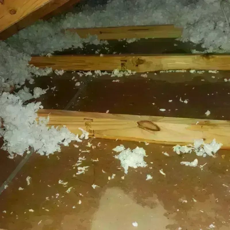 Attic Water Damage in Midland, TX