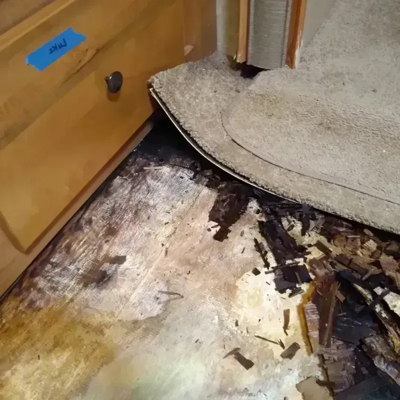 Wood Floor Water Damage in Midland, TX